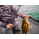 Fitzgerald Fishing Thrift Tungsten Micro Jig, Green Pumpkin, 1/2oz, FFTMJ12GP