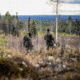 Fjallraven Lappland Hybrid Trousers - Mens, Green Camo-Laurel Green, 58, F90647-626-625-58