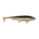 G-Ratt Baits Weedless Executioner Soft Bait