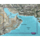 Garmin BlueChart g2 Vision - The Gulf JUL 08 (AW450S) SD Card 010-C0758-00