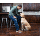 Garmin Delta SE Handheld &amp; Dog Collar Device Bundle, Black, 010-02608-00