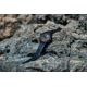 Garmin Descent G1 Solar Dive Computer, Black, 010-02604-02