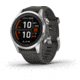 Garmin Fenix 7S Pro Solar Edition Silver with Graphite Band Watch, 010-02776-00