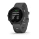 Garmin Forerunner 245 Watch, Slate Gray, 010-02120-00