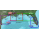 Garmin On The Water GPS Cartography BlueChart g2 Vision: Gulf of Mexico Regular Map w/ Free S&amp;H