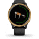 Garmin Venu GPS Smartwatch, Black/Gold, 010-02173-31