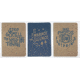 Gibbs Solitude Set of 3 Notebook, 3.5 x 5.5in, 9781423651956