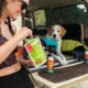 Good To-Go Chicken Pho, Single Serving, 1063