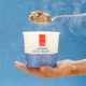 Good To-Go Cup - Variety Pack, 9501cp
