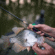 Googan Squad Gold Series 7ft Micro Light Spinning Rod