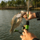 Googan Squad Green Series 7ft Micro Light Spinning Rod