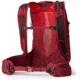 Gregory 20 Liters Maya Plus Daypack, Iris Red, One Size, 146673-9975