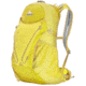 Gregory Fury 24 Pack-Electric Yellow