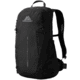 Gregory Arrio 20L Daypack