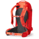 Gregory Targhee 32L Snow Pack
