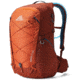 Gregory Inertia 24L H2O Hydration Pack, Redrock, One Size, 141340-3380