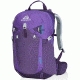 Gregory Juno 20 Pack-Acai Purple