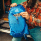 Gregory Miwok 42 Daypack - Mens, Reflex Blue, 126860-0602