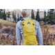 Gregory Pace 6L H2O Pack - Womens, Mineral Yellow, One Size, 143374-1561