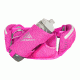 Gregory Pace D1.5 Hydration Belt - Women's -Fresh Pink