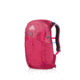 Gregory Swift 20 3D-Hydro Large Day Pack,Orchid Red, - Women's 91604-6394
