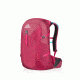 Gregory Swift 30 3D-Hydro Large Day Pack,Orchid Red, - Women's 91607-6394