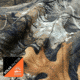 Habit Hatcher Pass Camo Guide Short Sleeve Shirt - Mens, Realtree Edge, Large, TS1476-922-L
