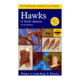 Hawks Of North America, Peterson Field Guide, Publisher - Houghton Mifflin