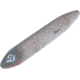 Heddon Super Spook Topwater Walking Bait, 5in, 7/8oz, Flitter Shad, X925610