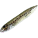 Heddon Super Spook Jr. Topwater Walking Bait, 3-1/2in, 1/2 oz, Florida Bass, X9236HFB