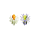 Hog Wild Beetle Spoon Assorted 10480