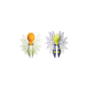Hog Wild Beetle Spoon Assorted 10480