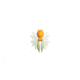 Hog Wild Beetle Spoon Assorted 10480