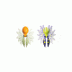 Hog Wild Beetle Spoon Assorted 10480