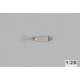 Hopkins Shorty Hammered Spoon w/Plain Treble, Stainless Steel, 1/8oz, 1 1/2in, 1/2S