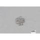 Hopkins Split Ring, Large, SRL