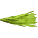 Humdinger Rubber Skirt, Chartreuse, 3 1/2in, 3 Pack, RS3-B