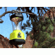 Hybridlight Atlas Solar Camping Lantern/Charger, Yellow 1625