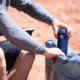 Hydro Flask 12 Oz Slim Cooler Cup, Laguna, KS12454