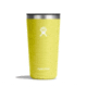 Hydro Flask 20 oz All Around Tumbler, Cactus, 20 oz, T20CPB752