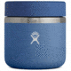 Hydro Flask 20 oz. Insulated Food Jar, Bilberry, RF20424