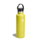Hydro Flask 21 Oz Standard Flex Cap, Cactus, 21 oz, S21SX752