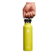 Hydro Flask 21 Oz Standard Flex Cap, Cactus, 21 oz, S21SX752