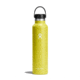 Hydro Flask 24 Oz Standard Flex Cap, Cactus, 24 oz, S24SX752