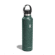 Hydro Flask Standard Flex Cap, Fir, 24 oz, S24SX332
