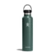Hydro Flask Standard Flex Cap, Fir, 24 oz, S24SX332