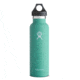 Standard Mouth 21 oz Bottle-Mint