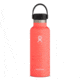 Hydro Flask Standard Mouth, Hibiscus, 18 oz., S18SX650