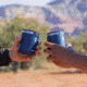 Hydro Flask Wine Tumbler 10oz, Laguna, V10CP454
