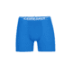 Icebreaker Anatomica Boxers - Mens, Lazurite, 2XL, IB103029580XXL